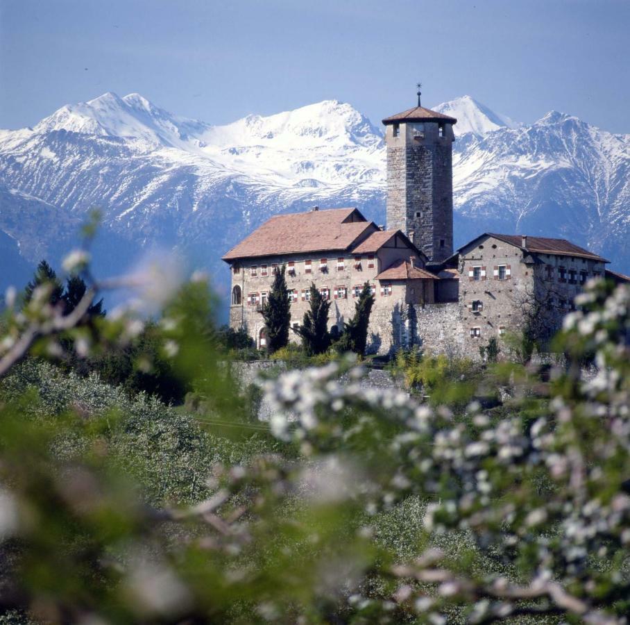 TassulloCinzia Dolomiti Del Brenta公寓 外观 照片